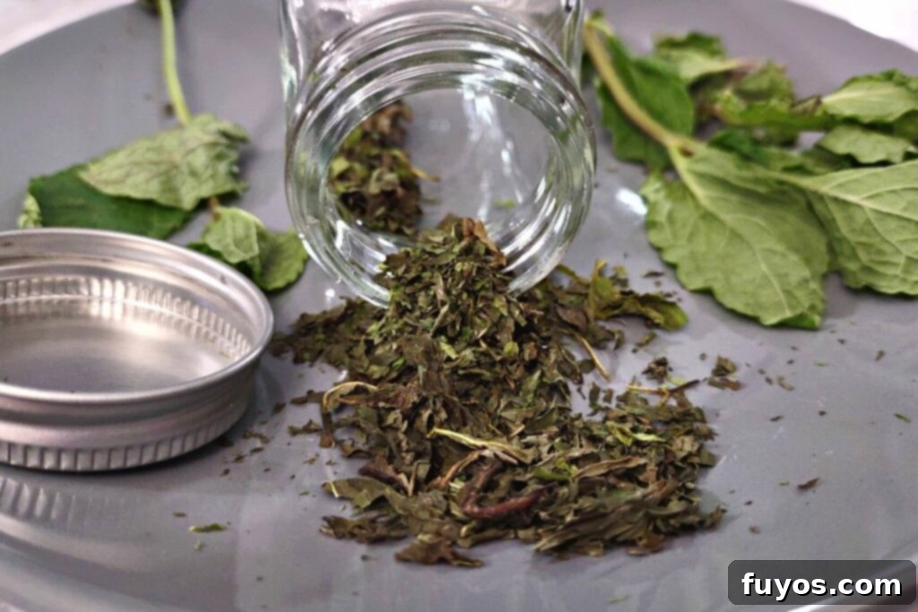 Mint Drying Hack Using Your Air Fryer 2 crushed air fryer dried mint leaves pouring out of a spice jar with fresh mint off to the side