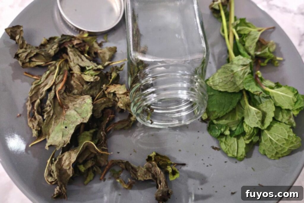 Mint Drying Hack Using Your Air Fryer 10 air fryer dried vs fresh mint leaves on a plate with empty spice jar in between