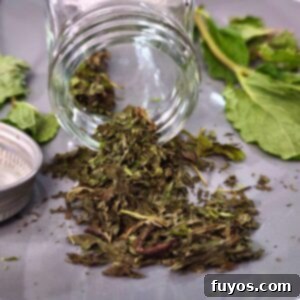 Mint Drying Hack Using Your Air Fryer 11 how to dry fresh mint in the air fryer dinners done quick featured image