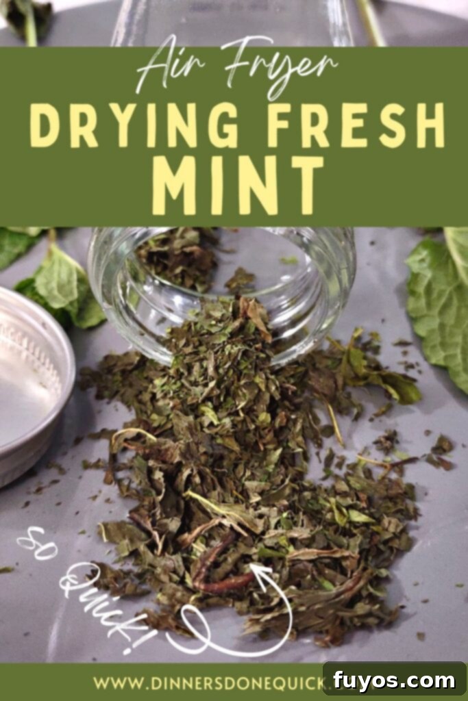 Mint Drying Hack Using Your Air Fryer 13 how to dry fresh mint in the air fryer dinners done quick pinterest