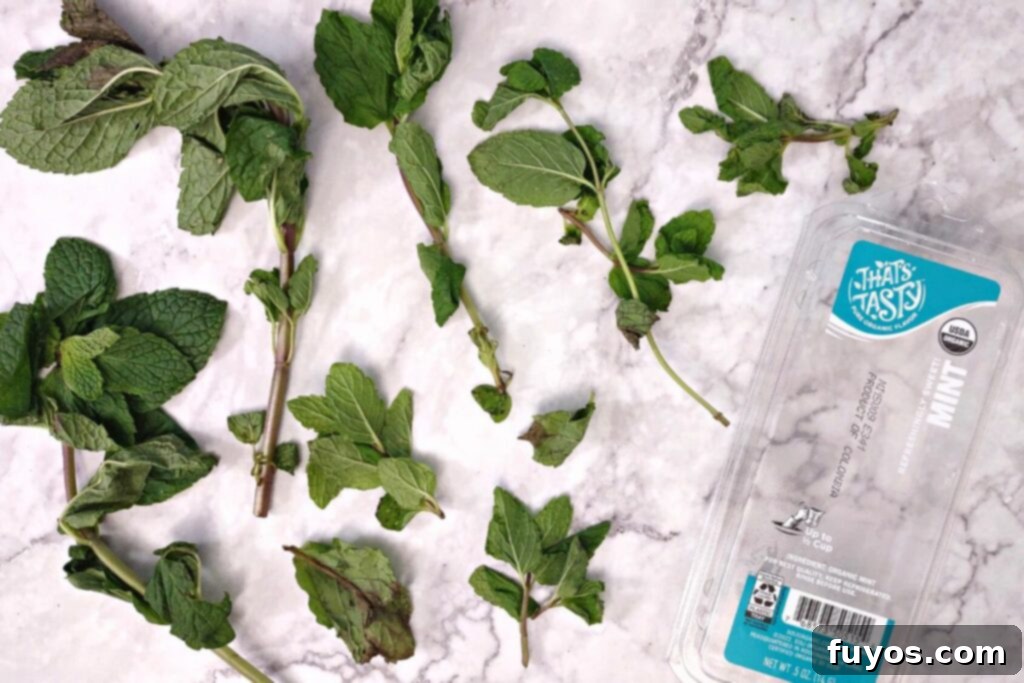 Mint Drying Hack Using Your Air Fryer 3 store bought fresh mint out of its container on a counter