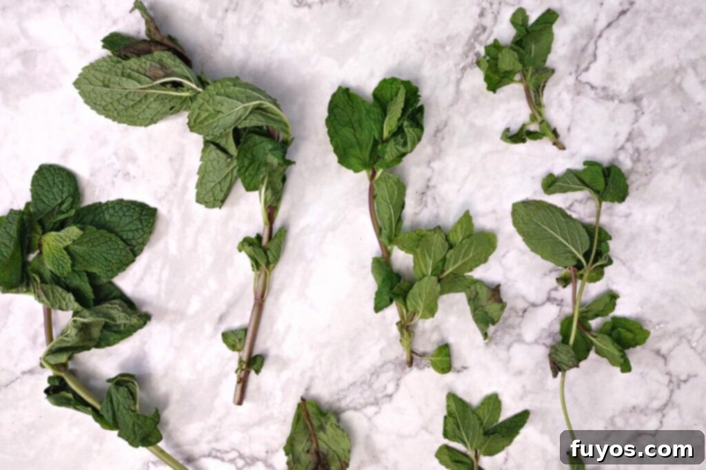 Mint Drying Hack Using Your Air Fryer 4 fresh stems of mint on a countertop