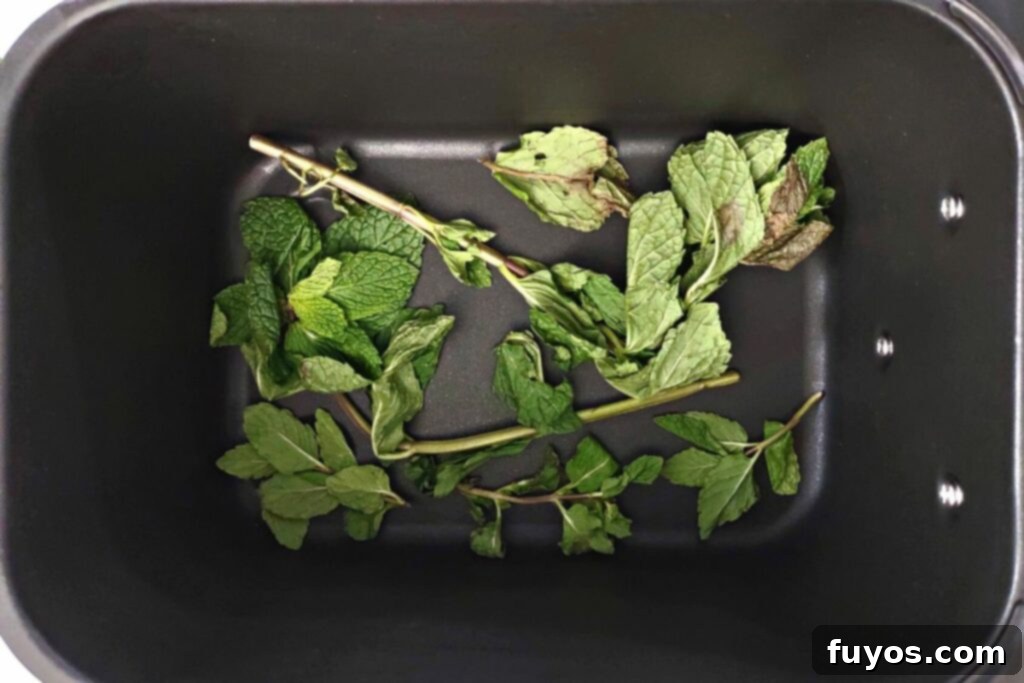 Mint Drying Hack Using Your Air Fryer 5 fresh mint leaves in the bottom of an air fryer basket