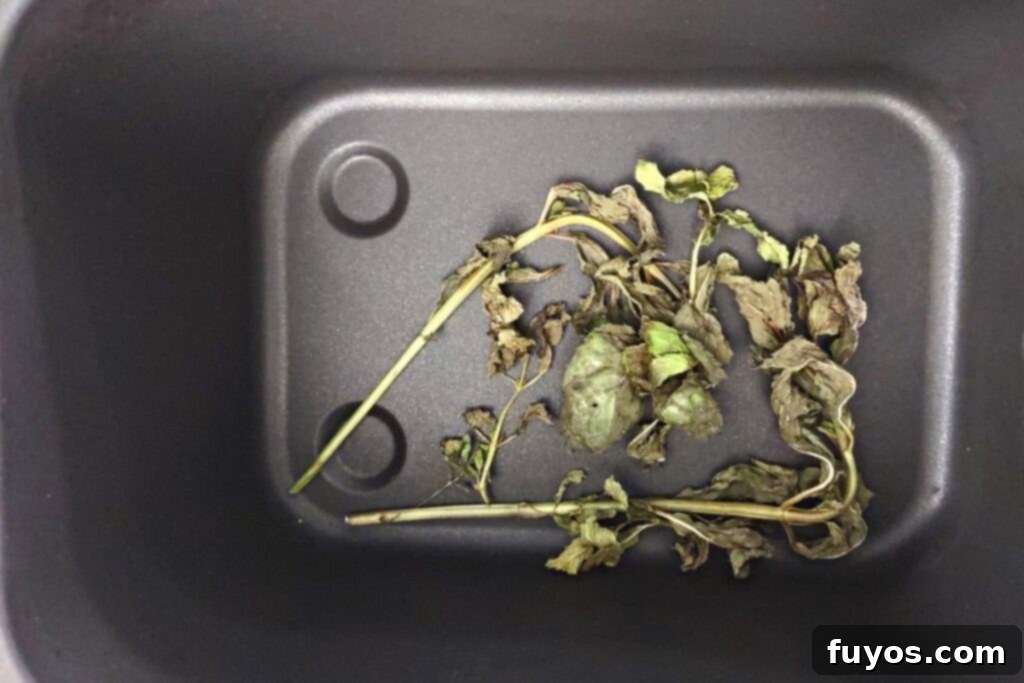 Mint Drying Hack Using Your Air Fryer 7 dried mint leaves in the bottom of an air fryer basket