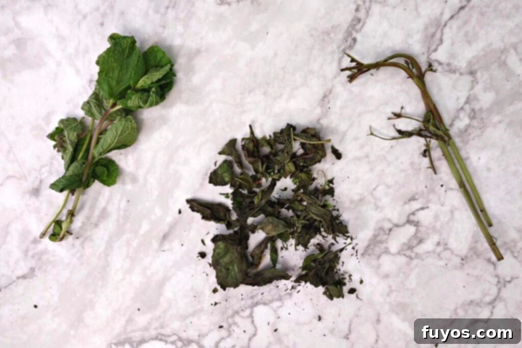 Mint Drying Hack Using Your Air Fryer 8 dried mint leaves separated from their stems on a countertop