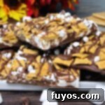 smores bark recipe dinners done quick featured image