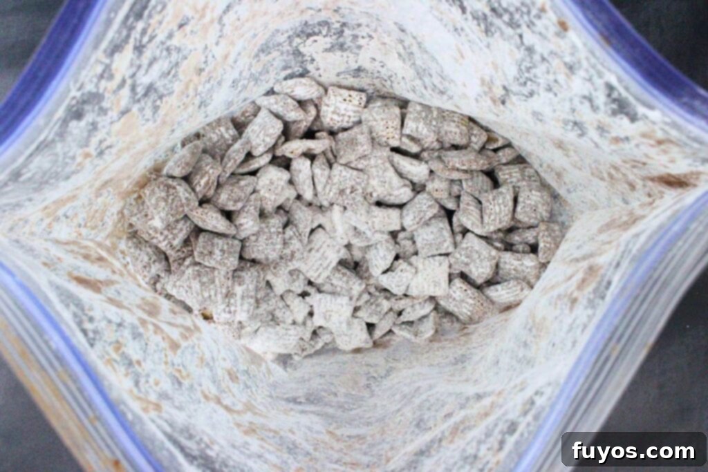 Mummy's Muddy Munch 7 shake chocolate covered chex in ziploc bag with powdered sugar
