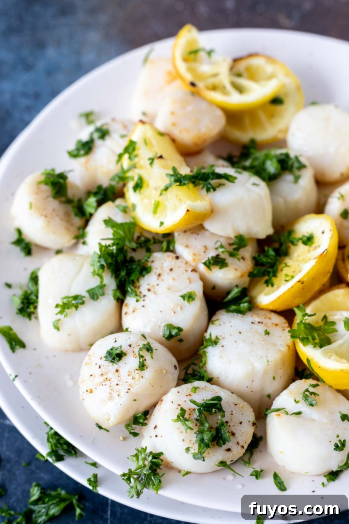 11 Irresistible Air Fryer Scallop Recipes to Make Now 12 Basic Air Fryer Scallops