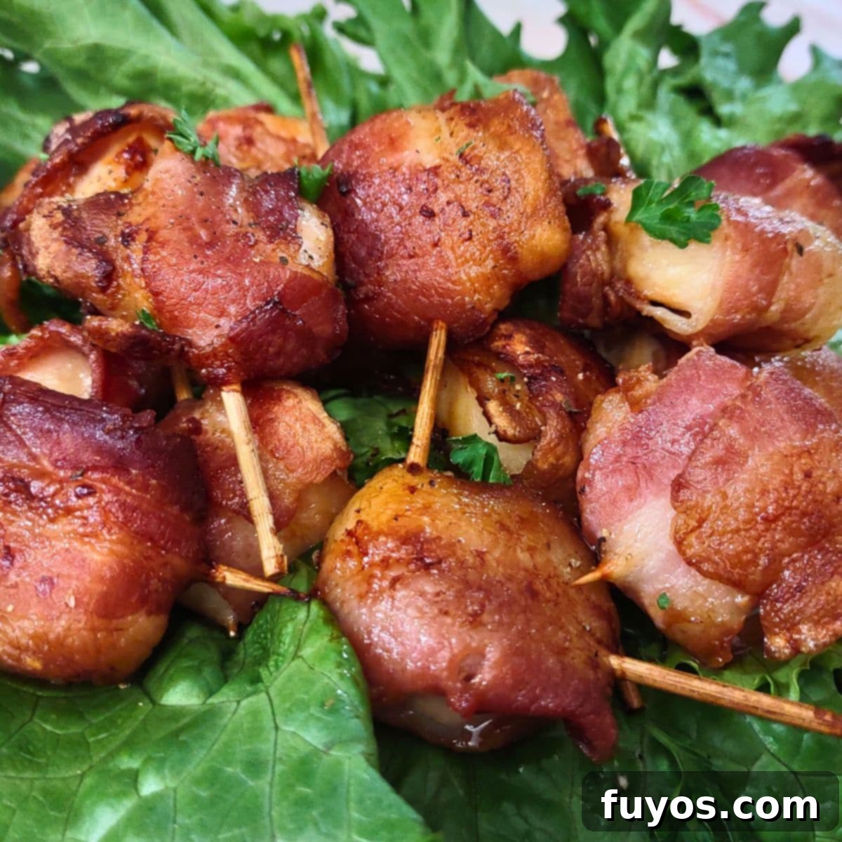 11 Irresistible Air Fryer Scallop Recipes to Make Now 3 how to make frozen bacon wrapped scallops in the air fryer dinners done quick featured image
