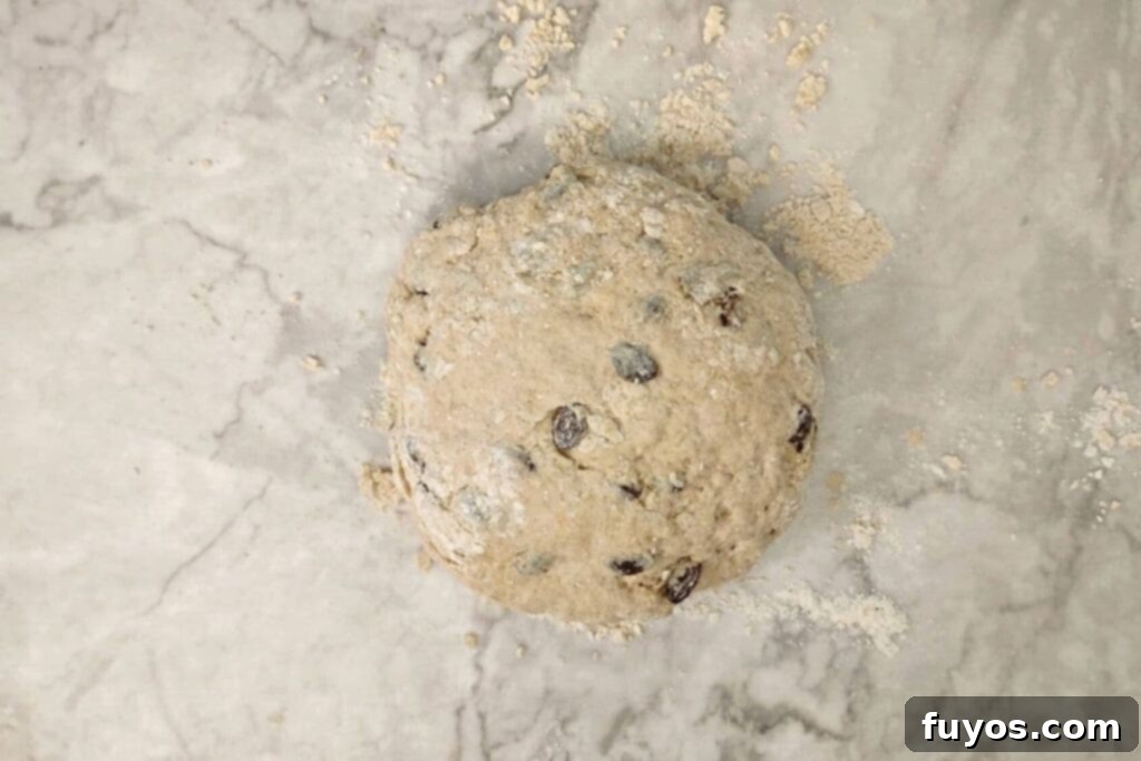 knead dough and form into a round loaf