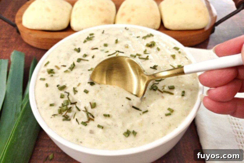 Creamy Air Fryer Leek and Potato Soup Pure Comfort Made Easy 13 Dipping a spoon into a hot bowl of creamy leek and potato soup