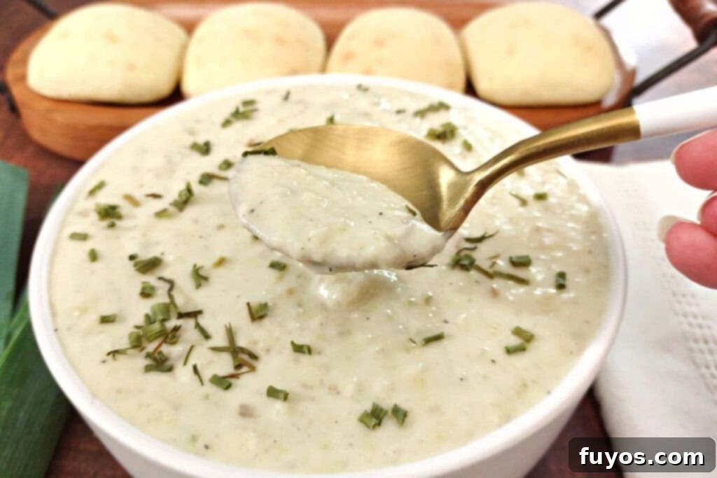 Creamy Air Fryer Leek and Potato Soup Pure Comfort Made Easy 3 Spoonful of Air Fryer Potato Leek Soup