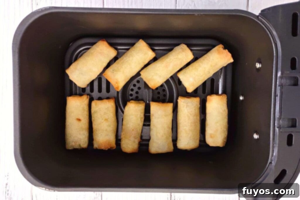 Crispy Air Fryer Spring Rolls in 5 Minutes 5 place cold spring rolls in air fryer basket