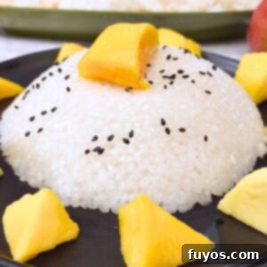 Effortless Microwave Coconut Mango Sticky Rice 11 how to make coconut sticky rice in the microwave dinners done quick featured image