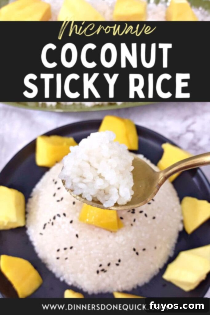 Effortless Microwave Coconut Mango Sticky Rice 13 how to make coconut sticky rice in the microwave dinners done quick pinterest