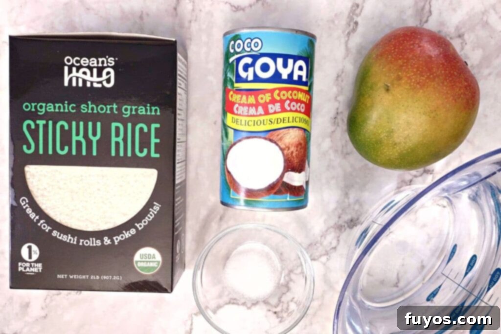 Effortless Microwave Coconut Mango Sticky Rice 4 microwave coconut mango sticky rice ingredients