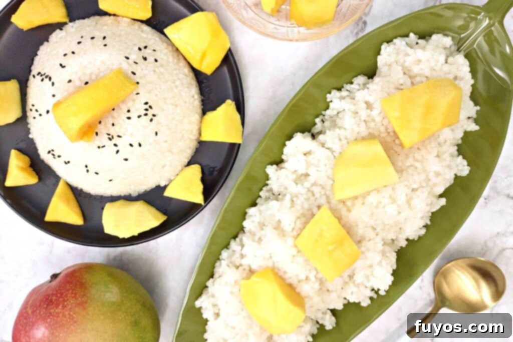 Effortless Microwave Coconut Mango Sticky Rice 9 overhead view of microwave sticky rice with mango slices on top