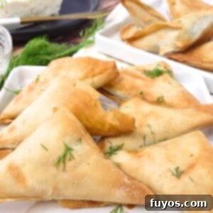 Trader Joe's Spanakopita Air Fryer Crispy Snack 8 how to make trader joes spanakopita in the air fryer dinners done quick featured image