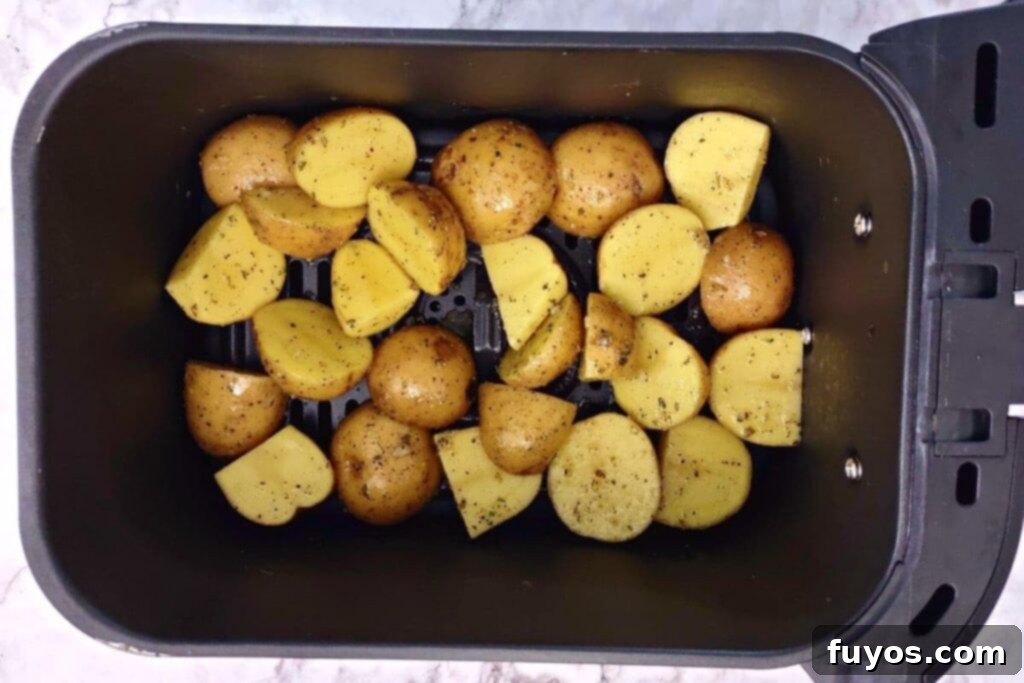 place seasoned potatoes in air fryer basket