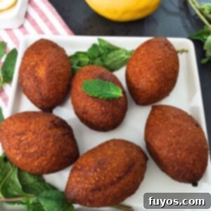 Trader Joe's Kibbeh Air Fryer Magic: Effortless Middle Eastern Flavor 8 trader joes kibbeh air fryer recipe dinners done quick featured image