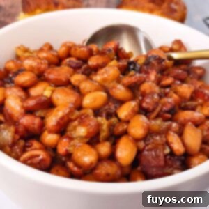 Homemade Air Fryer Baked Beans, Southern Style