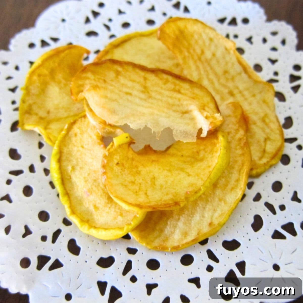 10 Best Air Fryer Apple Recipes To Try Today featured image