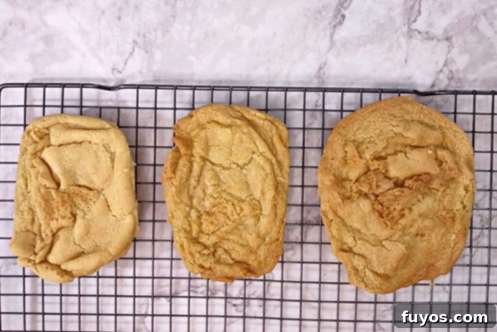 let cookies cool on a wire rack