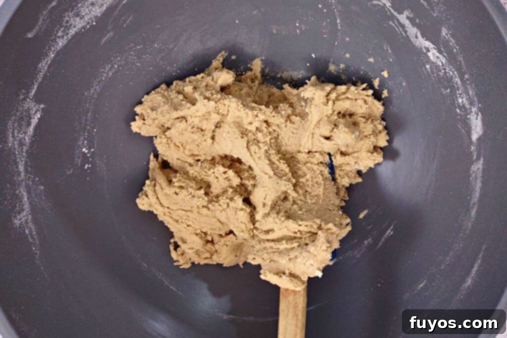 Dry ingredients being mixed into the wet cookie dough mixture until just combined