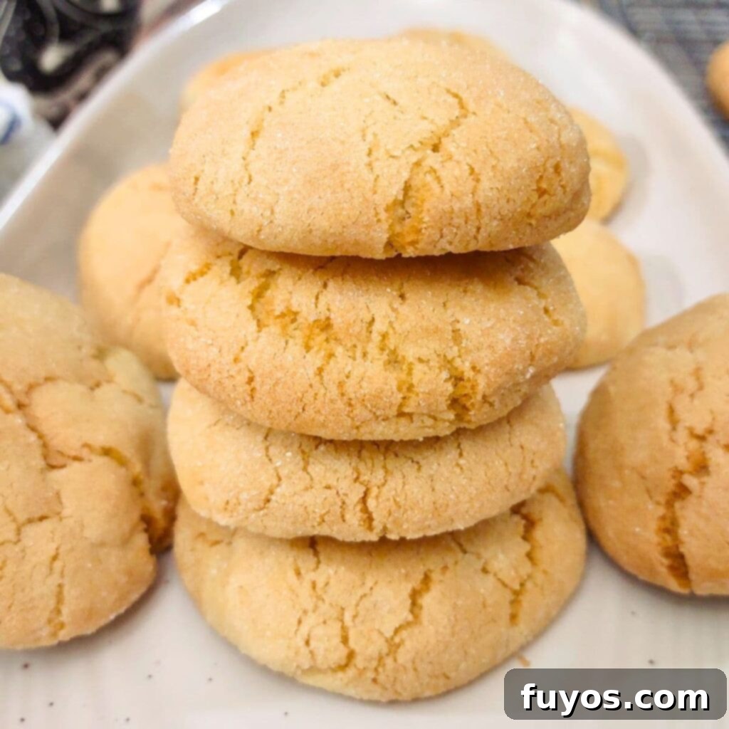 Southern Comfort Tea Cakes Air Fried 2 Delicious Air Fryer Southern Tea Cakes, perfectly golden brown