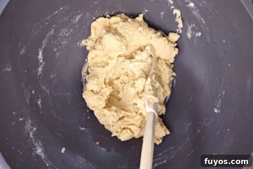 Southern Comfort Tea Cakes Air Fried 7 Mixing dry ingredients into the wet mixture until a soft dough forms.