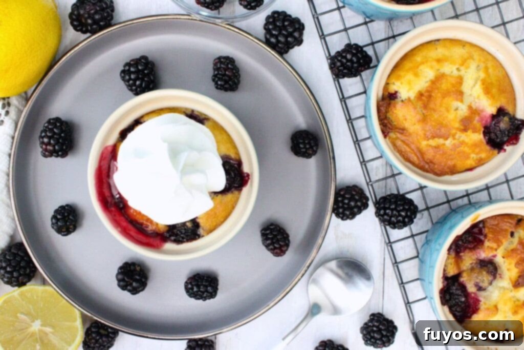 Effortless Air Fryer Blackberry Cobbler A Summer Delight 11 overhead view of single serve air fryer blackberry cobbler with whipped cream swirl