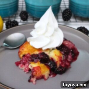 Effortless Air Fryer Blackberry Cobbler A Summer Delight 13 homemade air fryer blackberry cobbler recipe dinners done quick featured image