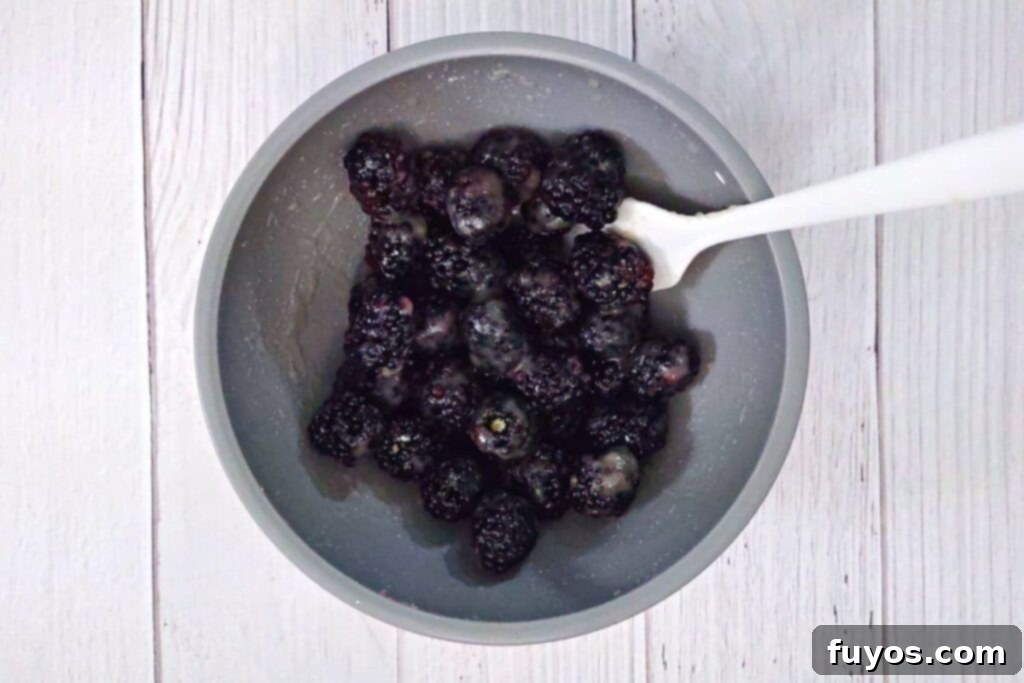Effortless Air Fryer Blackberry Cobbler A Summer Delight 5 combine blackberries, sugar, lemon juice, cornstarch, and vanilla extract in a bowl