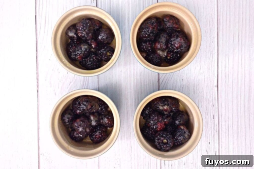 Effortless Air Fryer Blackberry Cobbler A Summer Delight 8 divide blackberries amongst ramekins
