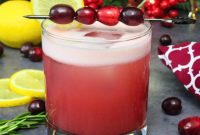 Cranberry Vodka Sour Your Autumn Holiday Delight