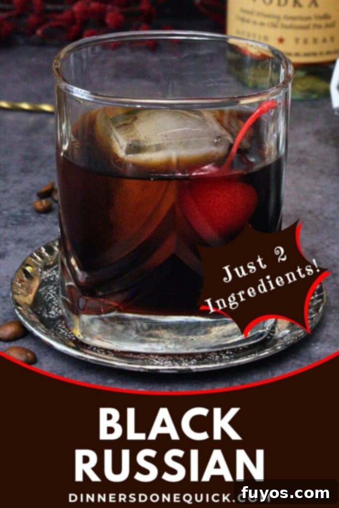 black russian recipe dinners done quick pinterest