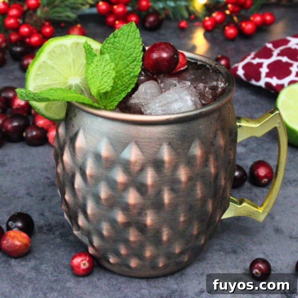 Cranberry Moscow Mule: Fall & Holiday's Signature Sip 2 cranberry moscow mule recipe dinners done quick featured image