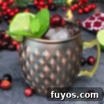 Cranberry Moscow Mule: Fall & Holiday's Signature Sip 11 cranberry moscow mule recipe dinners done quick featured image