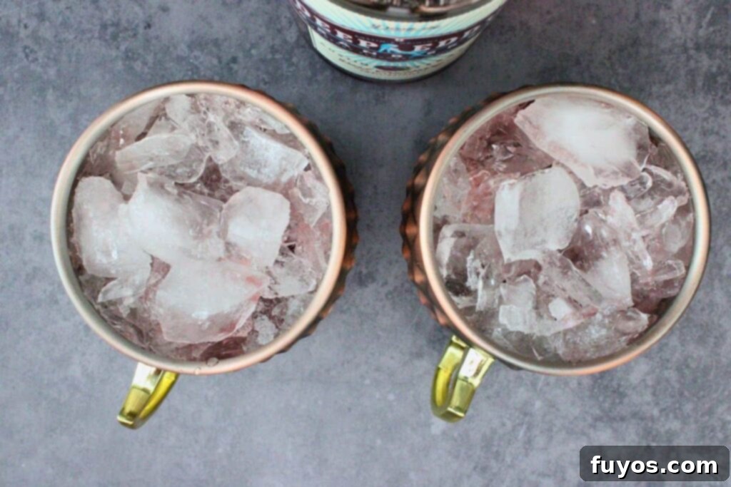 Cranberry Moscow Mule: Fall & Holiday's Signature Sip 6 add cranberry vodka, lime juice, and cranberry juice to mule mug