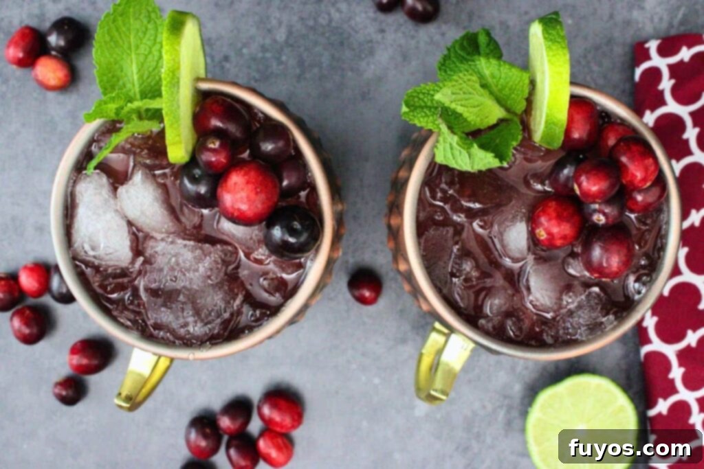 Cranberry Moscow Mule: Fall & Holiday's Signature Sip 8 overhead view of two cranberry moscow mule drinks with fresh lime, mint, and cranberry garnish on a dark counter