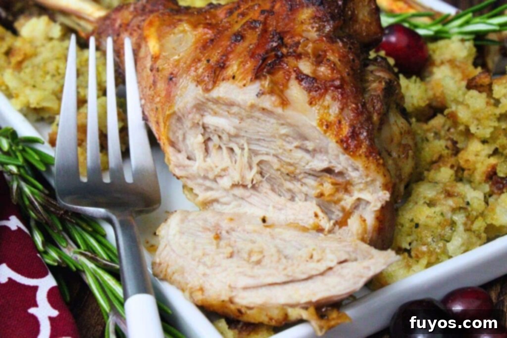 closeup view of air fryer turkey leg with a slice of juicy white meat cut off