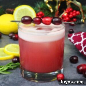 cranberry vodka sour recipe dinners done quick featured image