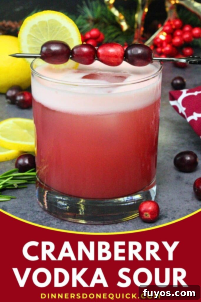 cranberry vodka sour recipe dinners done quick pinterest