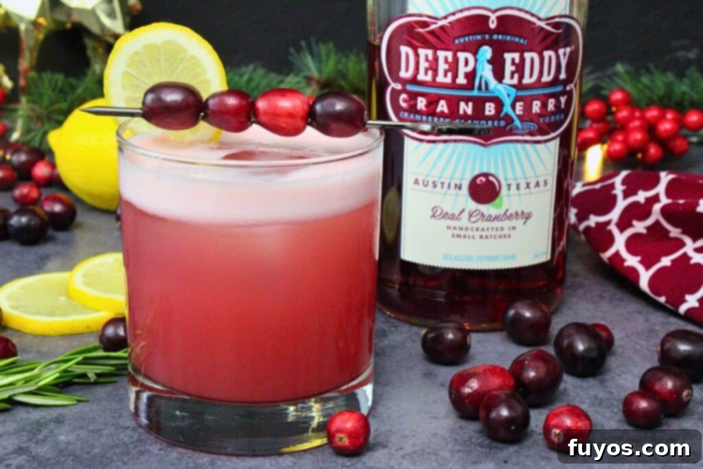 cranberry vodka sour cocktail garnished with lemon and fresh cranberries next to vodka bottle