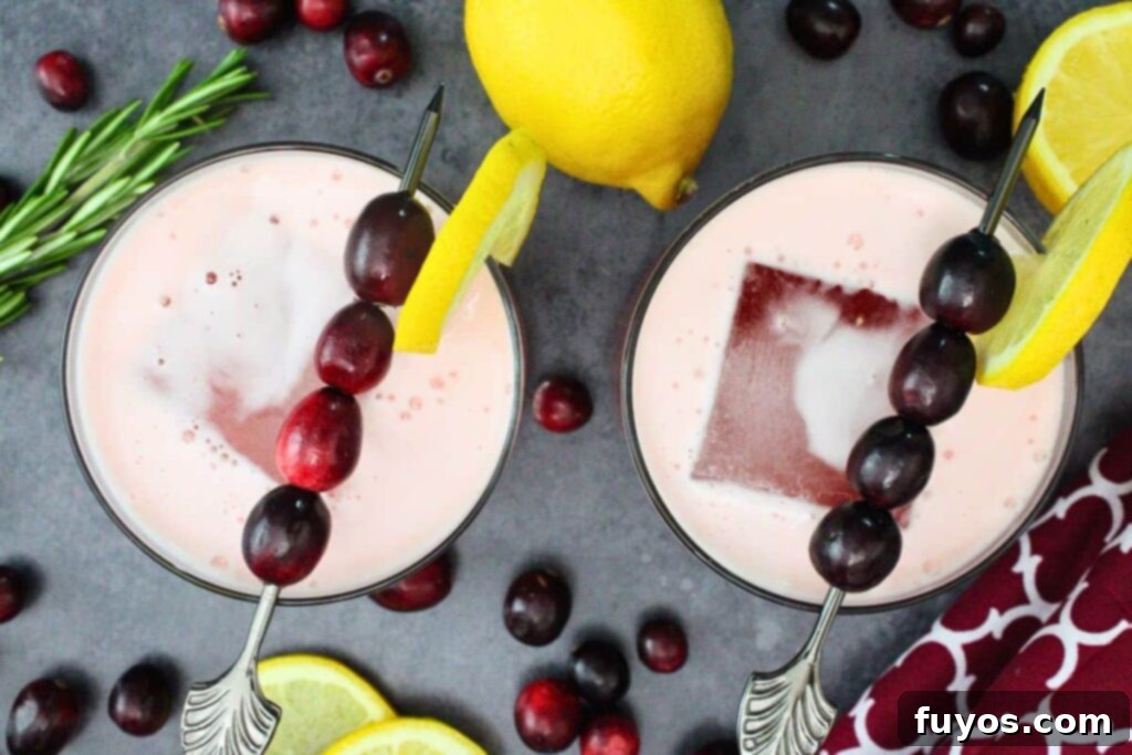 overhead view of two cranberry vodka sour drinks garnished with lemon and cranberries on a dark counter