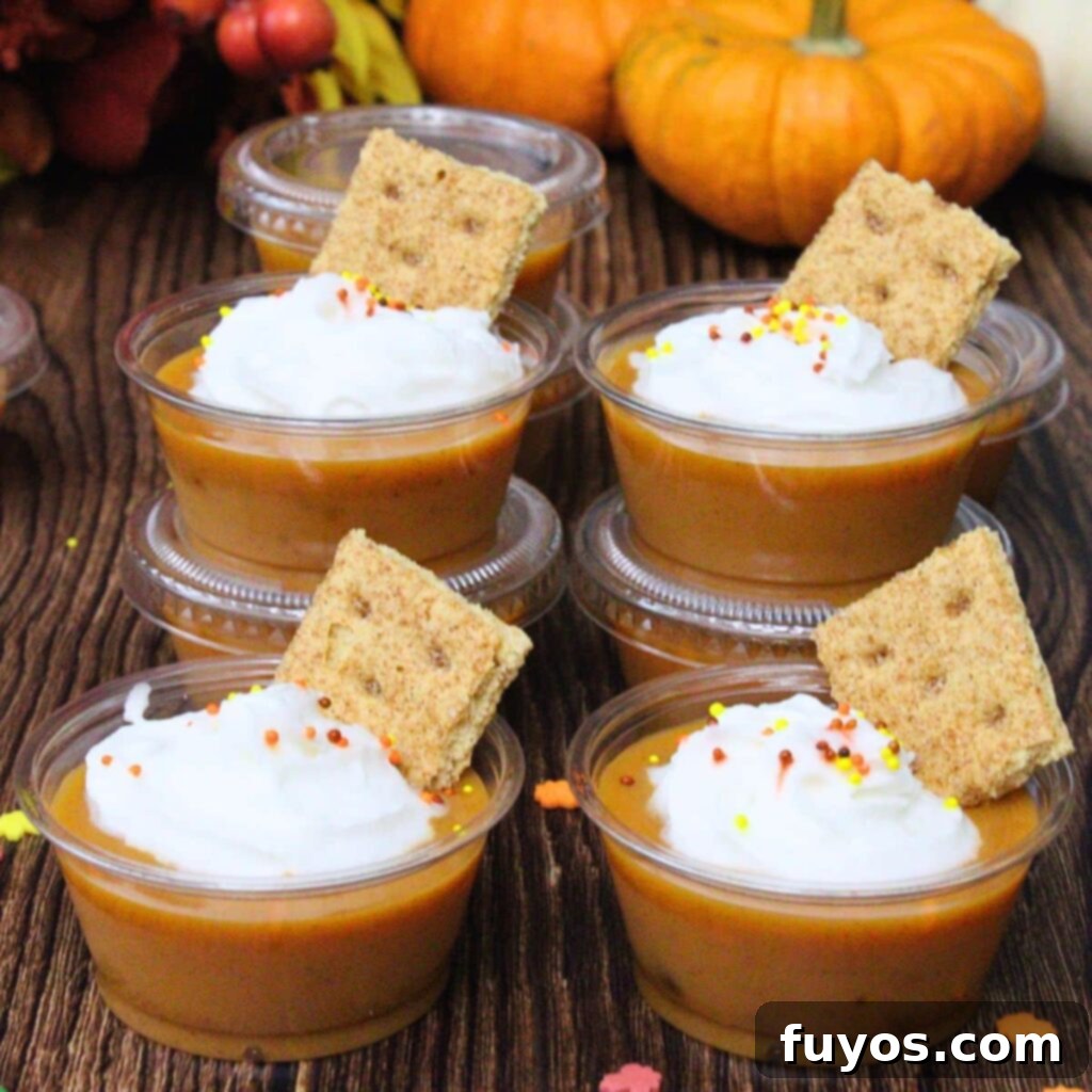 Close-up of a pumpkin pie pudding shot topped with whipped cream and cinnamon