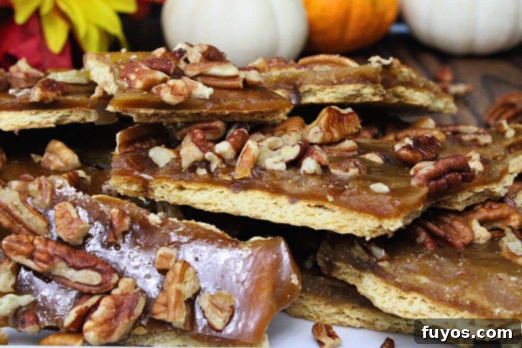 Easy Pecan Pie Toffee Bark 3 closeup view of pecan pie bark on a platter showing pecans, toffee, and graham crackers