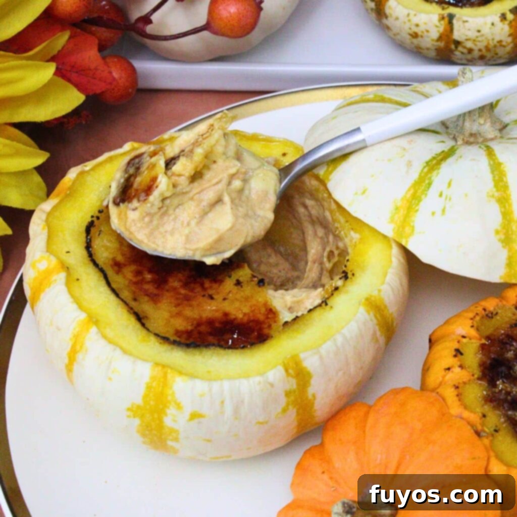 pumpkin creme brulee recipe dinners done quick featured image