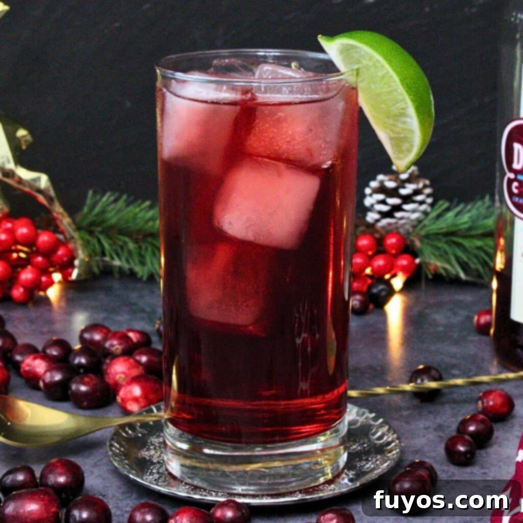 Mastering the Perfect Cape Codder Vodka Cranberry Redefined 2 cape codder cocktail recipe dinners done quick featured image