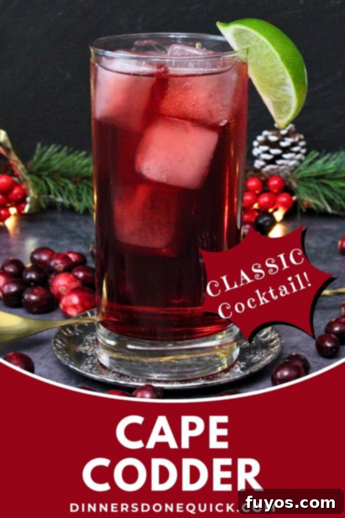 Mastering the Perfect Cape Codder Vodka Cranberry Redefined 10 cape codder cocktail recipe dinners done quick pinterest